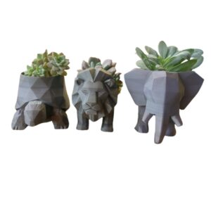 Kit Cachepô Decorativo Com Diferentes Animais