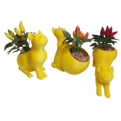 Vaso Cachepot Gatinho para Plantas
